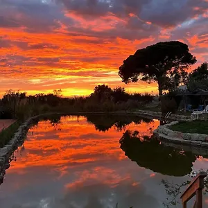  Glamping Oasis Camp Portugal